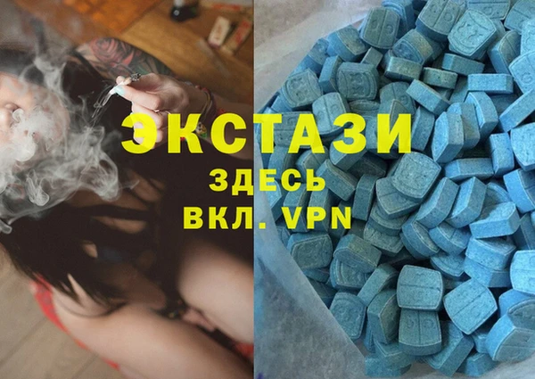 хмурый Алексин