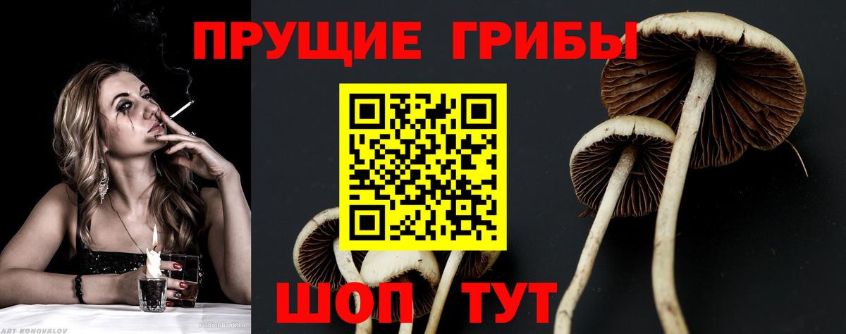 Советский  Галлюциногенные грибы Cubensis  Галлюциногенные грибы мицелий  Вход с VPN 